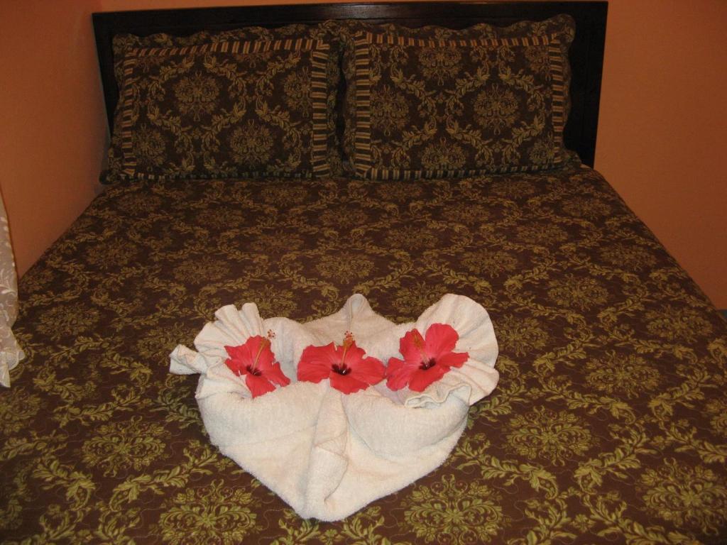 Executive Shaw Park Guest House Ocho Rios Exterior foto