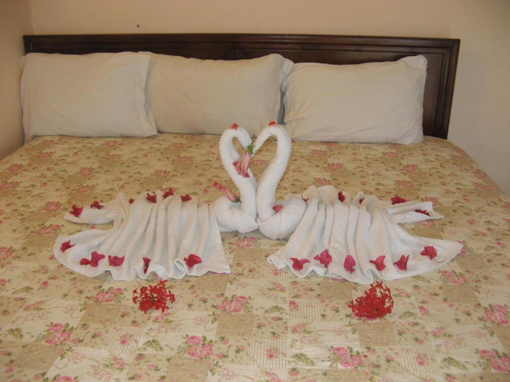 Executive Shaw Park Guest House Ocho Rios Exterior foto