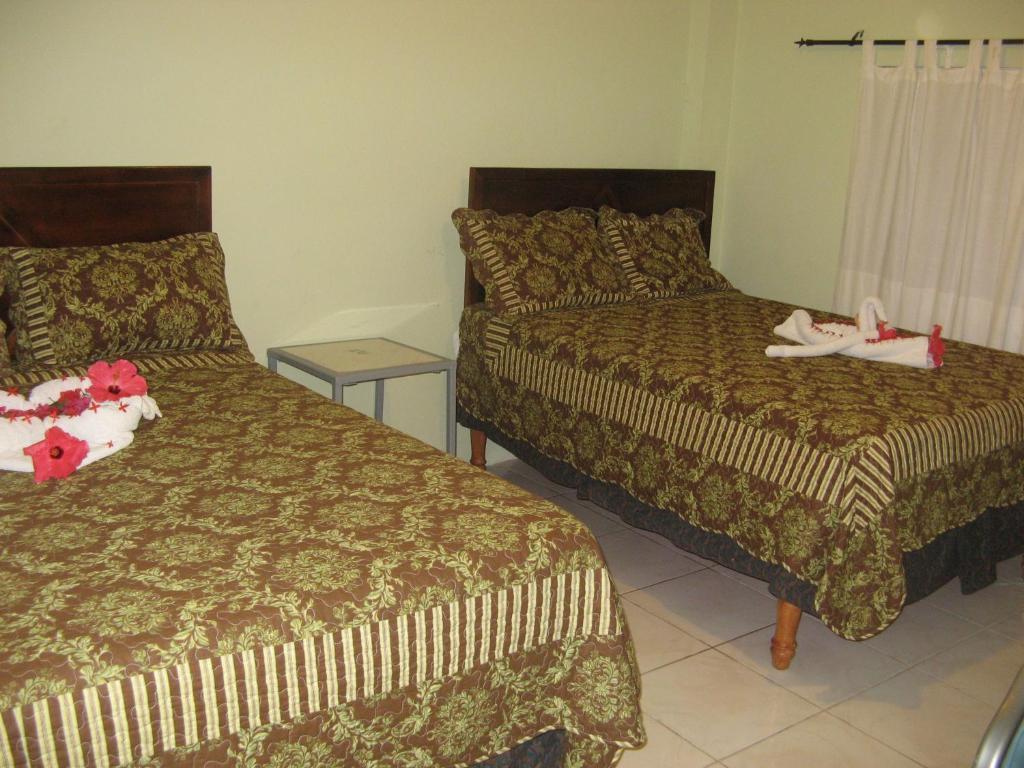 Executive Shaw Park Guest House Ocho Rios Quarto foto
