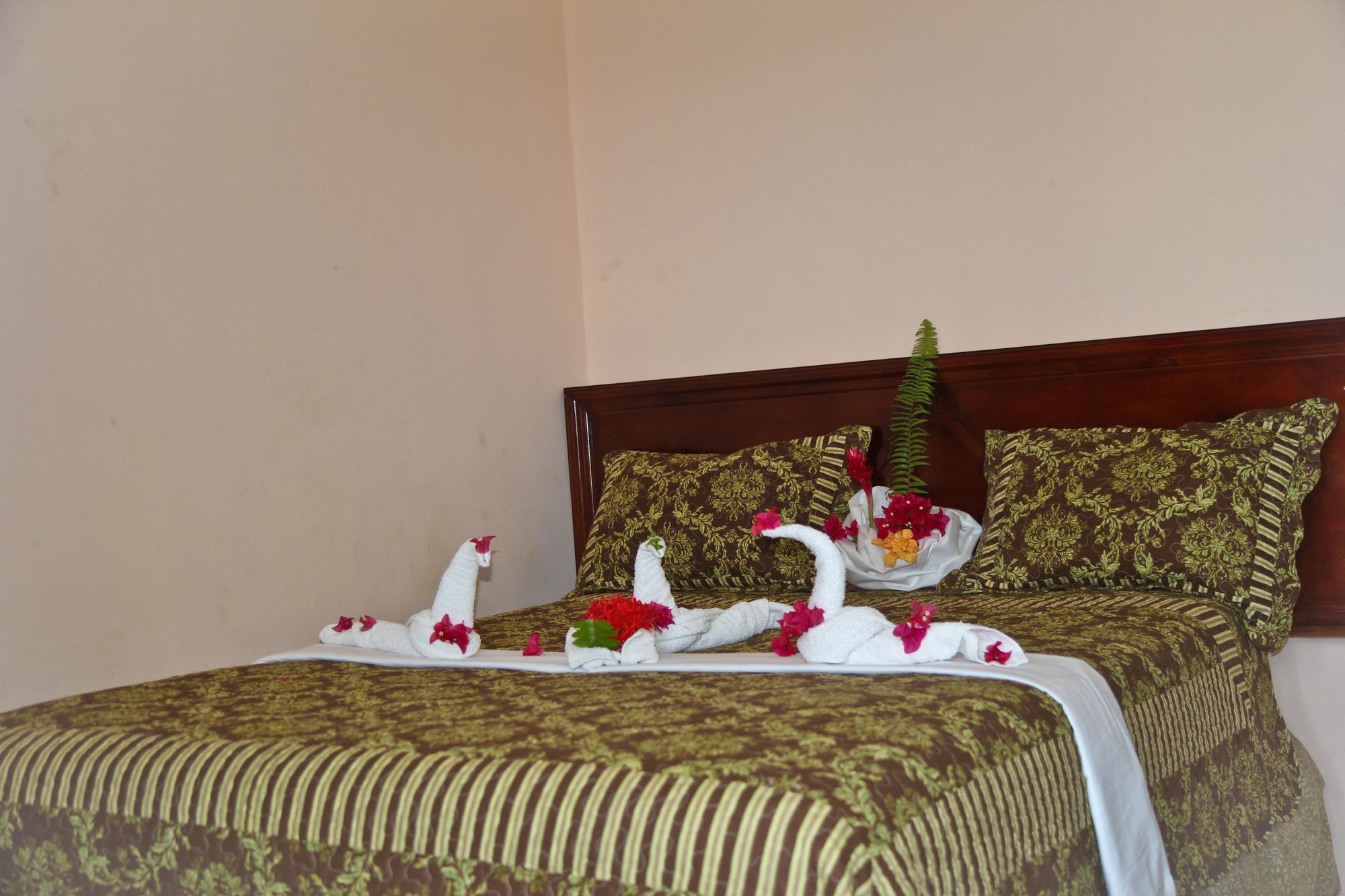 Executive Shaw Park Guest House Ocho Rios Exterior foto