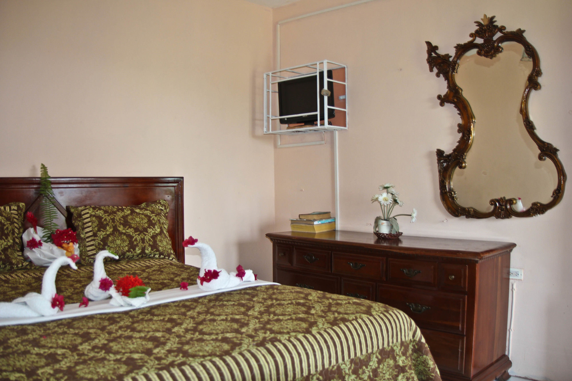 Executive Shaw Park Guest House Ocho Rios Exterior foto